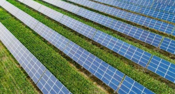 1659944089031058908.png 1659944089031058908.png